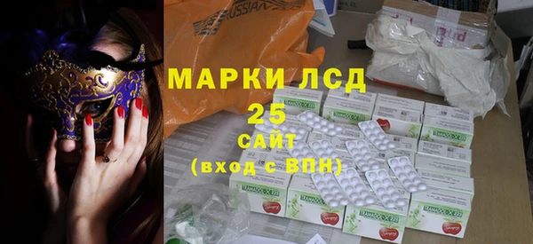 индика Баксан